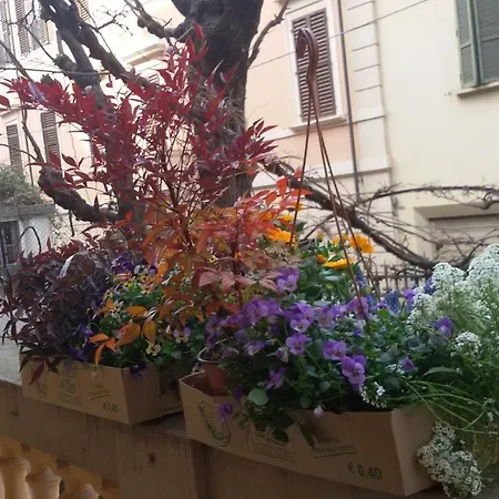 Tilia Apartment Bologna Exterior photo