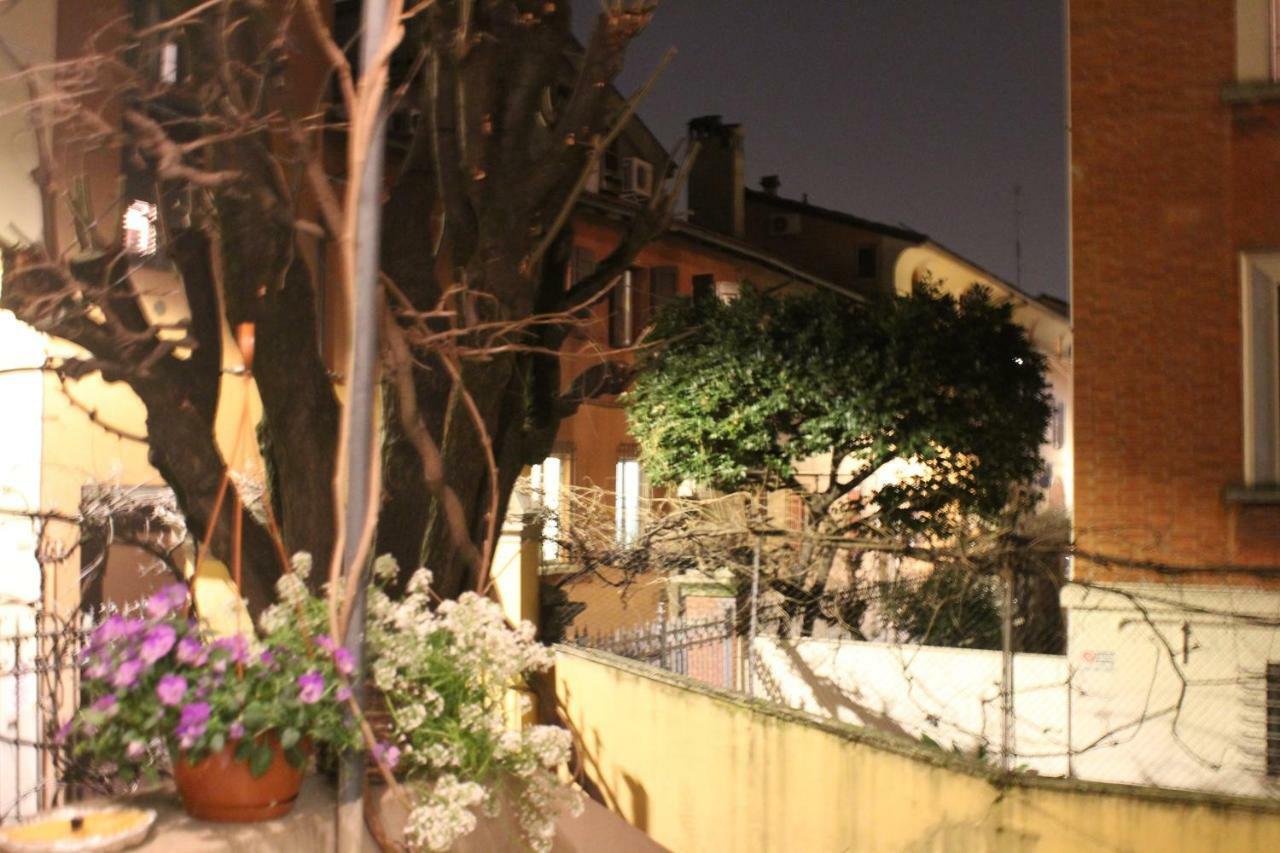 Tilia * Bologna