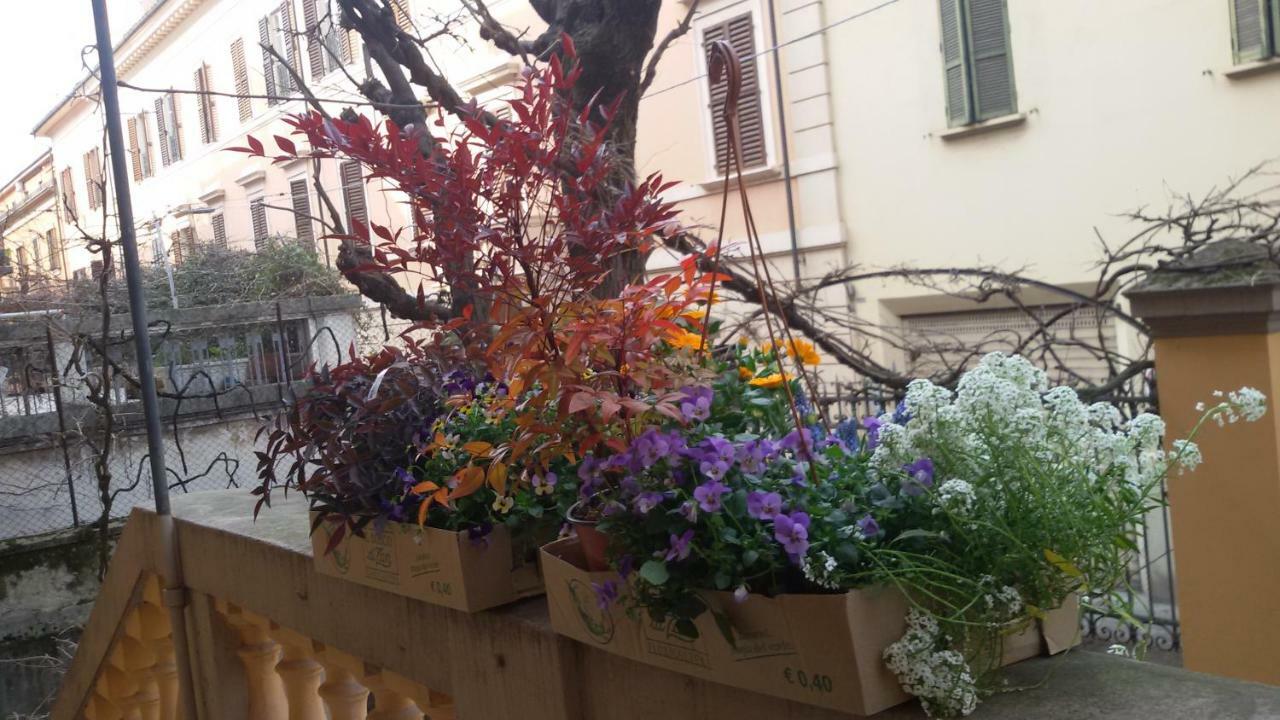 Tilia Apartment *