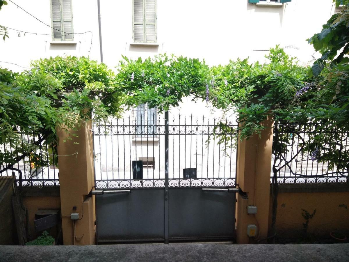 Tilia Bologna